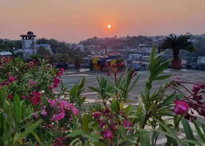 Casa Michelangela - Holistic Bio Ischia