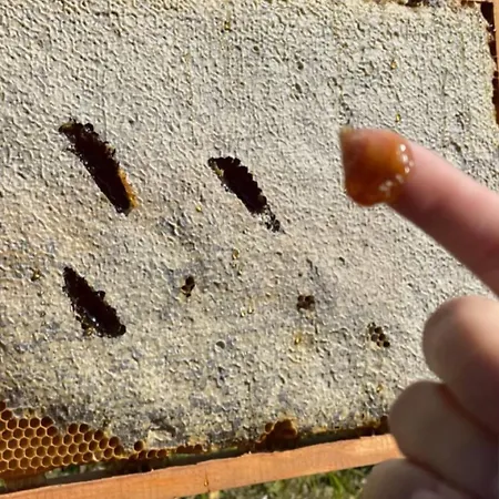 Casa Michelangela - Holistic Bio Hotel *