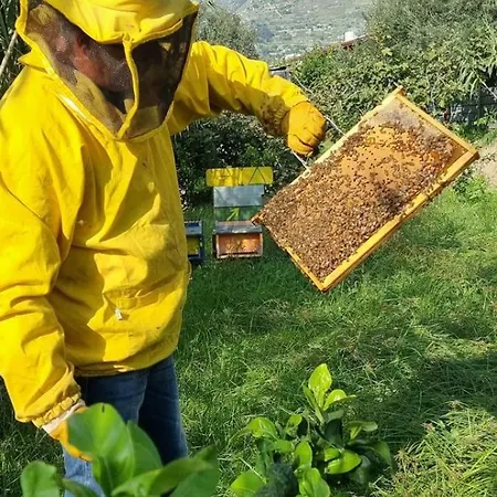 Casa Michelangela - Holistic Bio Hotel