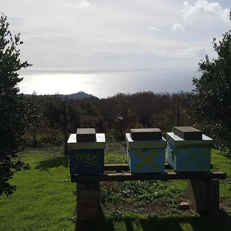 Casa Michelangela - Holistic Bio Hotel Ischia