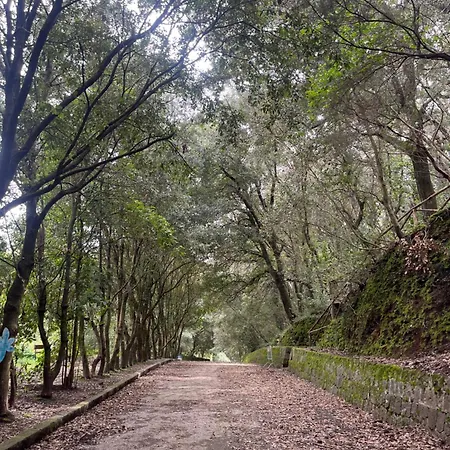 Hotel Casa Michelangela - Holistic Bio