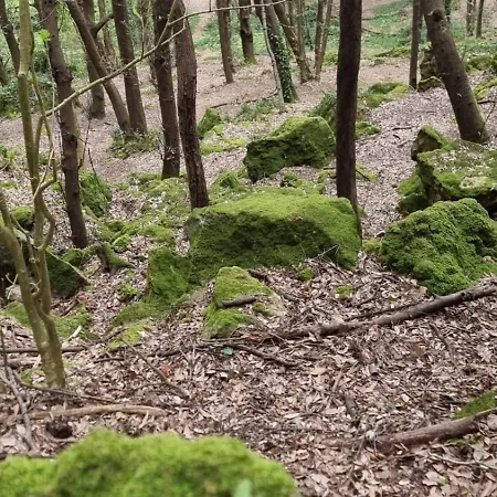 Casa Michelangela - Holistic Bio