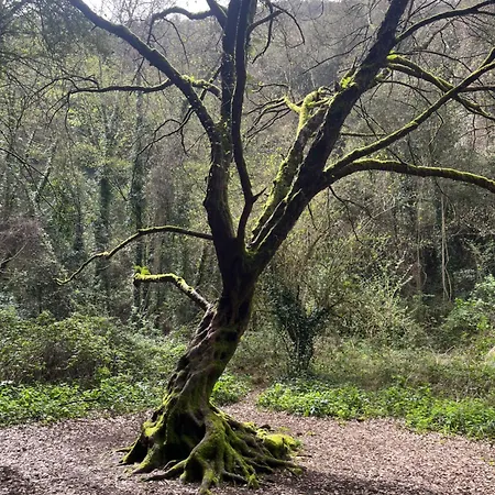 Casa Michelangela - Holistic Bio Ischia