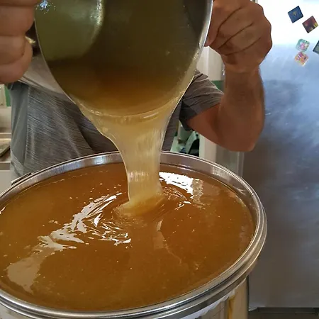 Casa Michelangela - Holistic Bio Hotel *