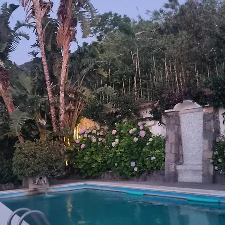 Casa Michelangela - Holistic Bio *