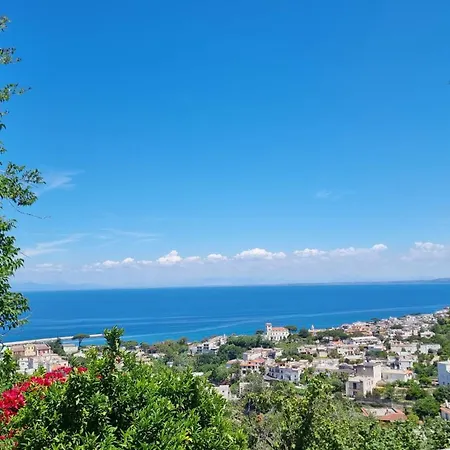 Casa Michelangela - Holistic Bio *