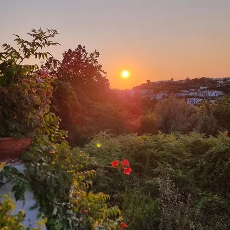 Casa Michelangela - Holistic Bio * Ischia