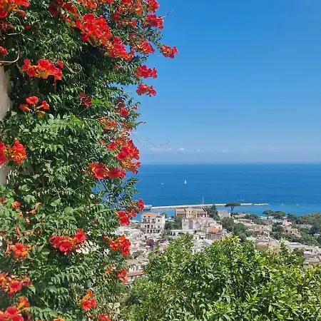 Hotel Casa Michelangela - Holistic Bio Casamicciola Terme