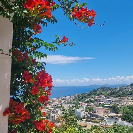 Casa Michelangela - Holistic Bio